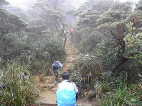 20120714-KINABAL-NOBORI2.jpg
