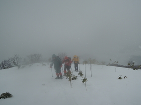 20121230-吹雪の東尾根.jpg