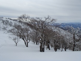 20150221-hyounosen3m.jpg