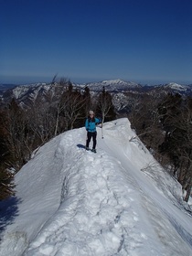 20150328-sannomarunobori2.jpg