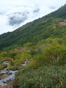20150919-turugi3.jpg