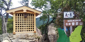 20190618-seppiko1.jpg