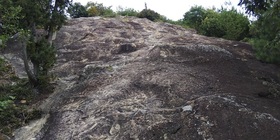 20191003-taka02.jpg