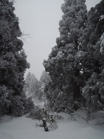 DSCN1013.JPG
