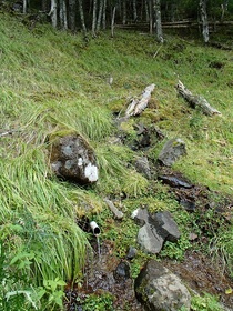 P9220765m.jpg