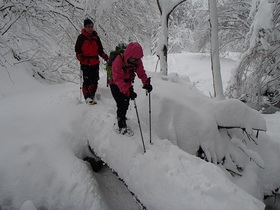 PC220084m.jpg