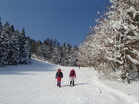 �C���[�W03